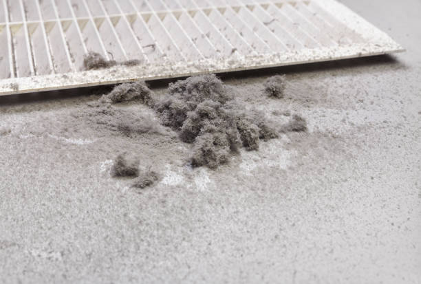 Best HVAC Duct Inspection Services  in Frankston, TX